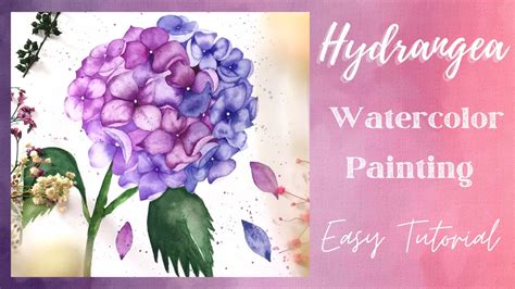 How To Hydrangea Watercolor Painting For Beginners Realistic
