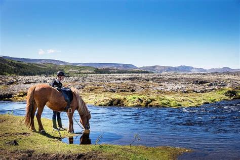 Icelandic Horseback Riding Tour From Reykjavik Discover Hidden Gems