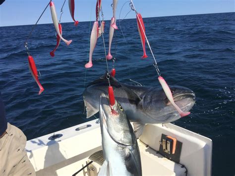 Besides good quality brands, you'll also find plenty of discounts when you shop for boat umbrella during big sales. best priced trolling rods for stripers in north east - The ...