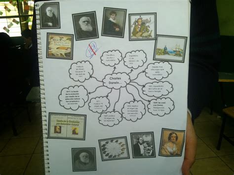 Mapa Mental Darwinismo Social