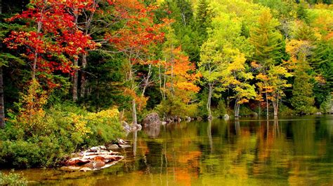 Lakes Autumn Serenity Lake Tranquility Forest Clear