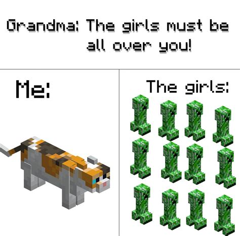 Minecraft Memes On Twitter I Should Probably Stop Playing Minecraft