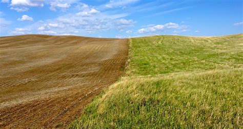 More Money Fewer Grasslands Corn Ethanols Impact On Rural America Inside Energy
