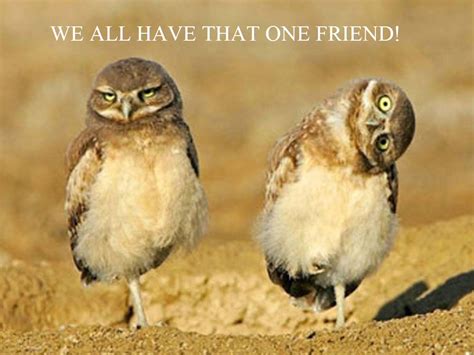 We All Have That One Friend - Funny - Faxo