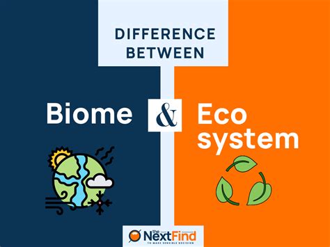 20 Differences Between Biome And Ecosystem