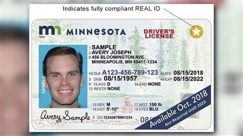Driver And Vehicle Services Mn Skinsbabl
