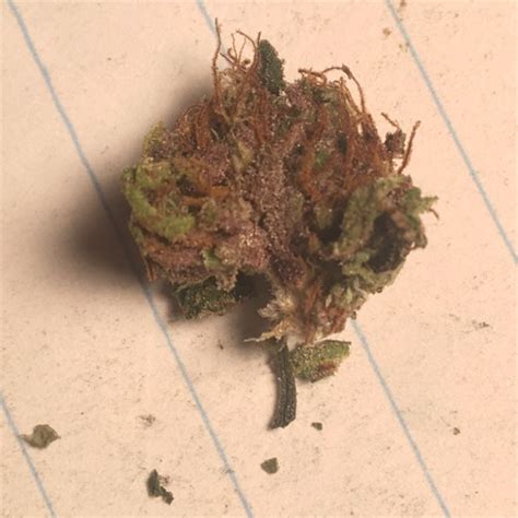 Purple Og Kush Weed Strain Information Leafly