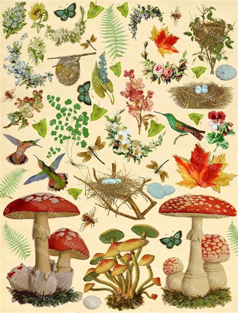 Woodland Forest Nature Printable Scrapbooking Junk Etsy In 2021