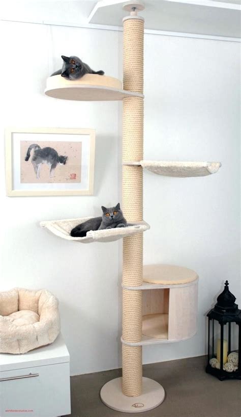 Free home delivery in lahore 🚚. modern cat tree ikea top result best new friendly ...