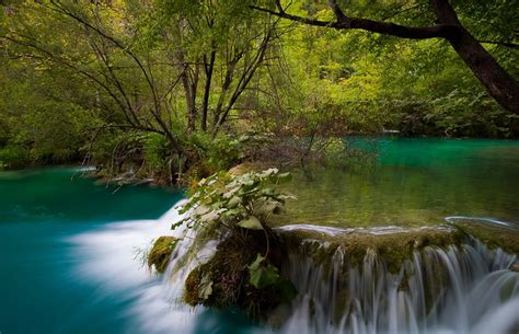 River Waterfall Forest Shrubs Plitvice National Park Croatia