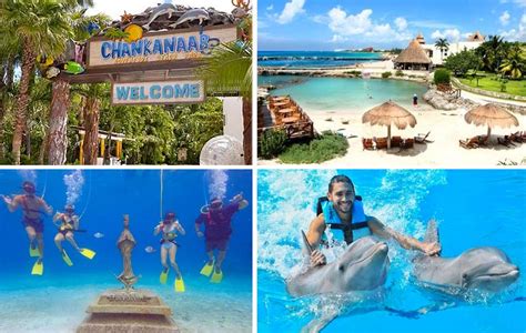 Chankanaab Park Cozumel Cancun Adventure Tours