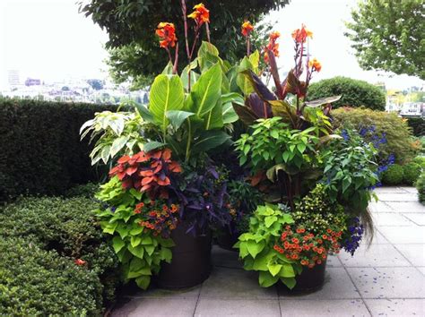 This modern and tropical arrangement is sure to brighten your home while adding life to any room! Modern Tropical Garden 2013 - Tropical - Landscape - vancouver - by Glenna Partridge Garden Design