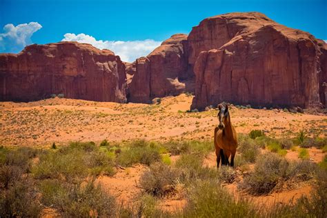 Nature Sandstone Horse Desert Landscape Wallpapers Hd Desktop And