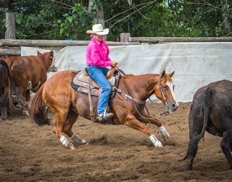 Pin on Horses, Cowboys, Wranglers & Buckaroos