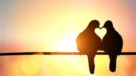 34 frases de besos cariñosos para demostrar tu amor crea tu frase