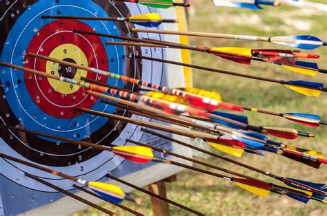 10 Best Archery Target For The Money 2023 Reviews