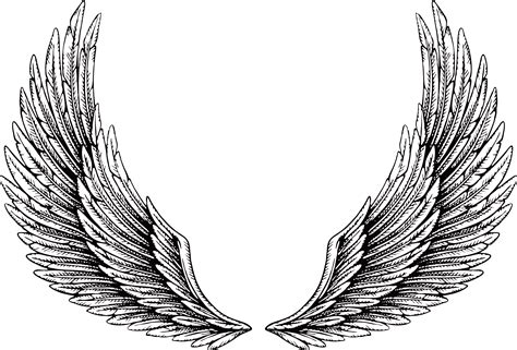 Download Tattoo Wing Illustration Png File Hd Hq Png Image Freepngimg