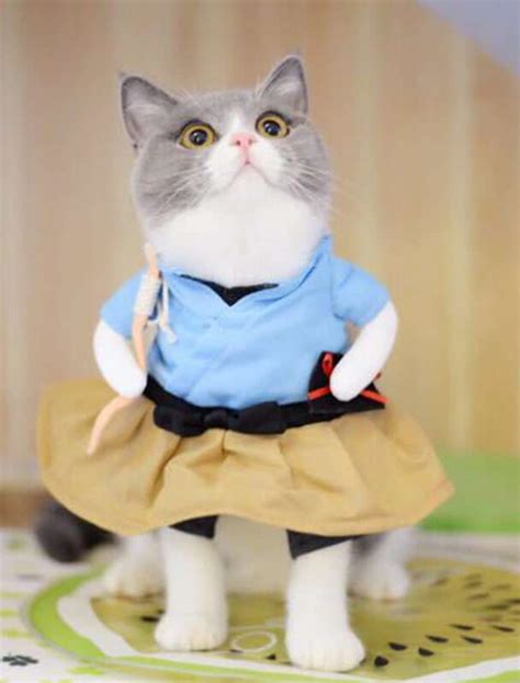 6 Most Funny Clothes For Your Pets Nicepetproducts