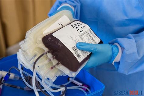 Manca Il Sangue Ma Non Calano I Malati Appello A Donare Dallavis Di Porto Torres Sassari
