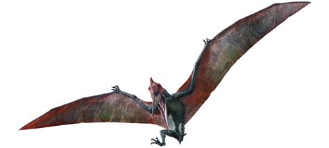 Image Pteranodon Renderpng Jurassic Park Wiki Fandom Powered By Wikia