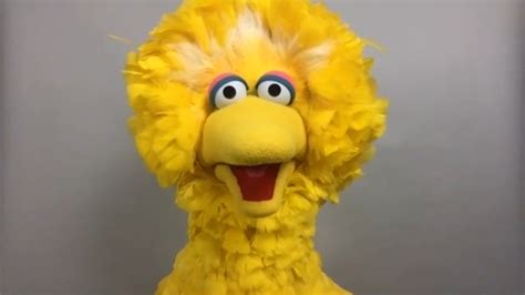 Big Bird Talks About His Guests On Sesame Street And Life During The