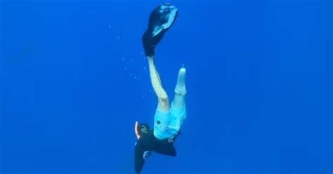 Photographer Recalls The Day A Shark Bit His Leg Off Petapixel