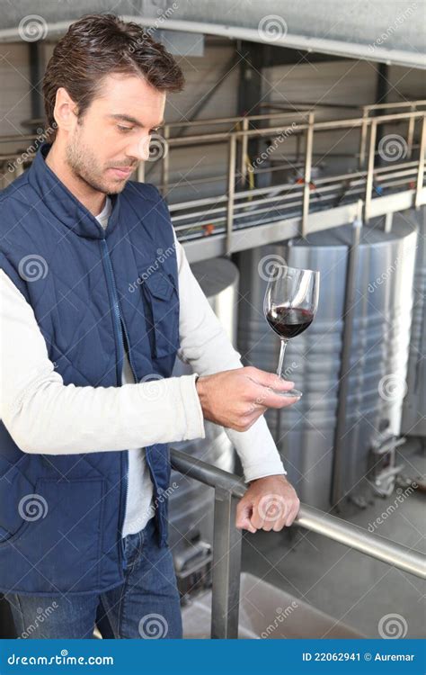 Oenologist With A Glasswine Stock Image Image Of Steel Culture 22062941