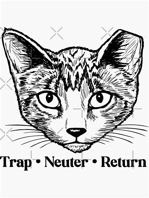 Tnr Trap Neuter Return Feral Cats Rescue Sticker For Sale By