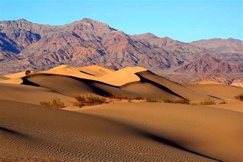 8 Most Captivating Sand Dunes Around The World 2024 Wow Travel