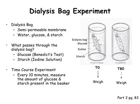 Bio 137 will include basic chemistry, cell structure, cell physiology, metabolism, tissues, and integumentary, skeletal, muscular and. Ppt diffusion and osmosis