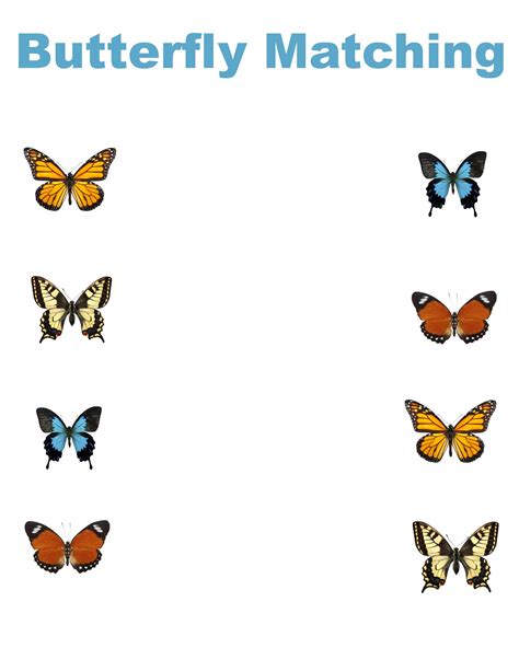 Free Printable Butterfly Worksheets For Kids