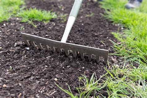 Grow A Lawn From Seed