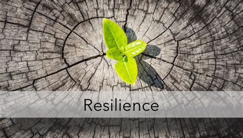 Constructing Resilience When Youre Feeling Confused My Blog