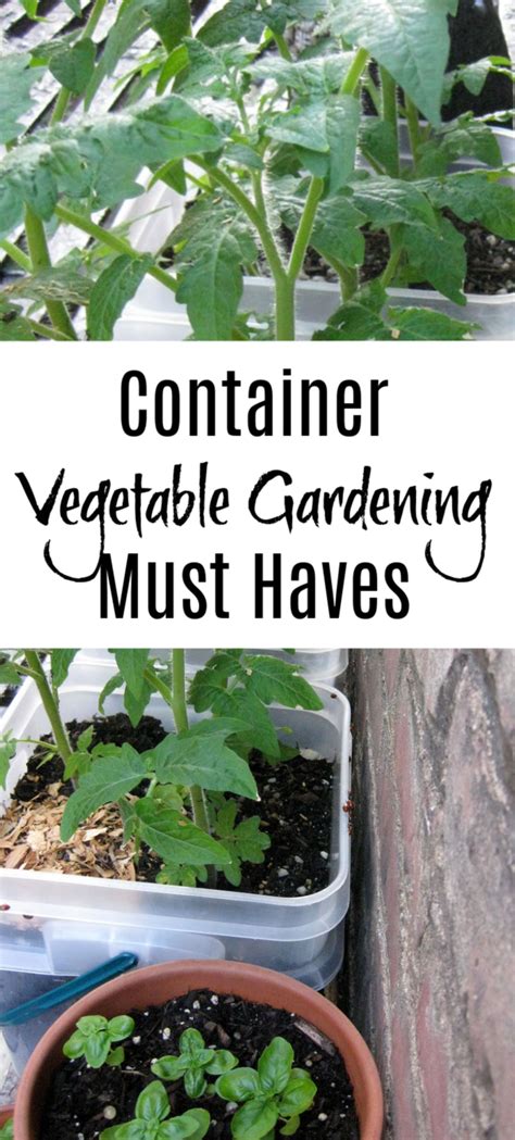 Container Vegetable Gardening Must Haves To Get Started Now