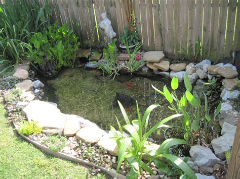 A Small Pond Surrounded By Rocks And Plants