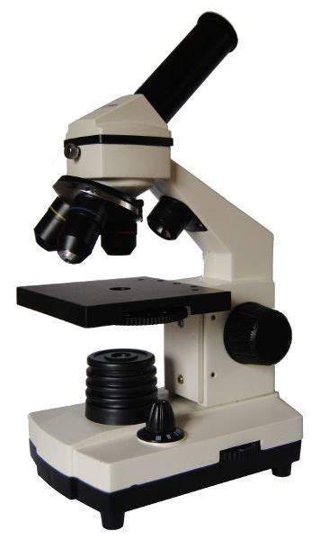 Tipos De Microscopios Mundo Microscopio