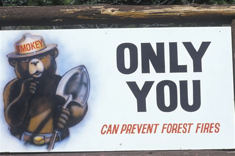 Put out the forest fire (1). Smokey Bear turns 70, but don't bring candles - AOL.com