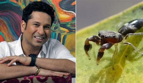 The former india cricketer got himself tested recently on his return from raipur, where he had gone to play road safety cricket series. Newly discovered spider species named after Sachin ...