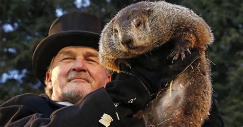 Groundhog Day 2019 schedule: It's over, and Phil didn't ...