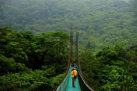 Costa Rica Tours Suspension Bridges Monteverde