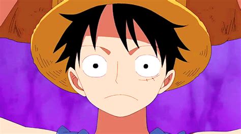Download wallpapers one piece tumblr 500x281 50 iphone set gif. Luffy doesn't care... | Anime Amino