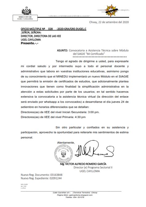 Ugel Caylloma Oficio MÚltiple N° 028 2020 Asistencia TÉcnica Sobre