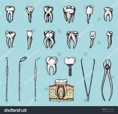 Molar Teeth Enamel Dental Set Instruments стоковая векторная графика
