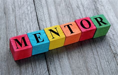 What Are The Roles Of A Mentor And A Mentee Educationreader Com