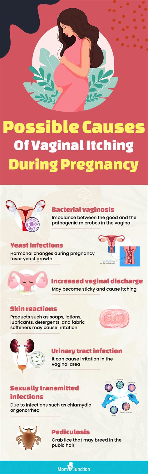 Vaginal Itching During Pregnancy Signs Causes And Treatment
