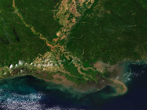 Gulf Dead Zone Expected To Be Larger Than Last Year Mississippi Today