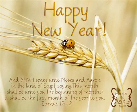 Herein Is Love Happy Biblical New Year