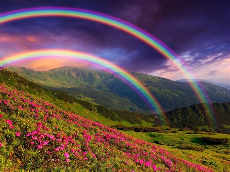 Free Download Rainbow Sky Wallpapers Top Free Rainbow Sky Backgrounds