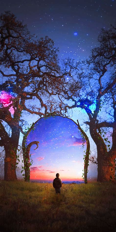 Colorful Silhouette Arch Starry Sky Landscape Tree 1080x2160