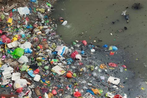Quais São Os Principais Prejuízos Do Descarte De Lixo Nos Rios Help Entulho